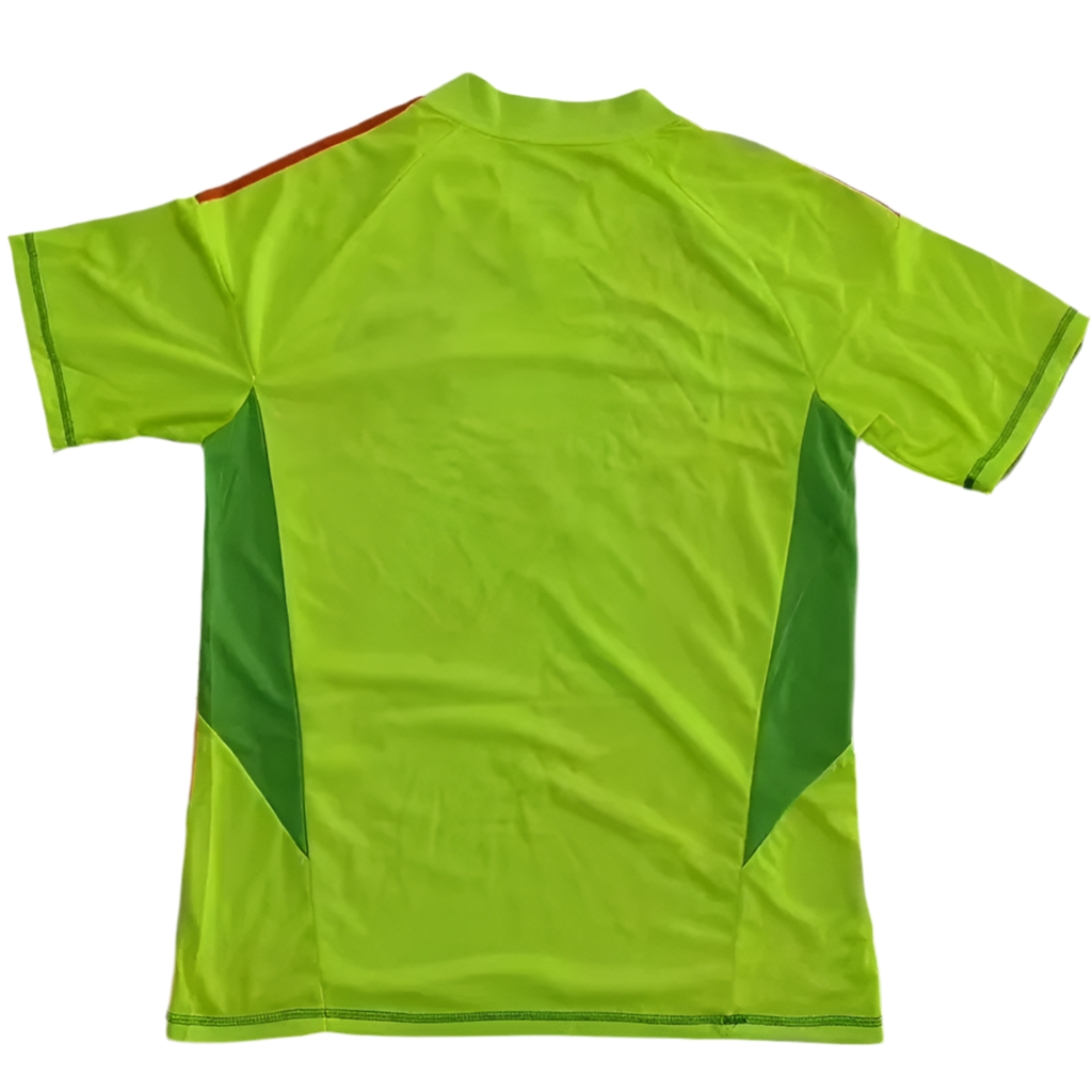 24/25 Bayern Munchen Goalkeeper Green kit