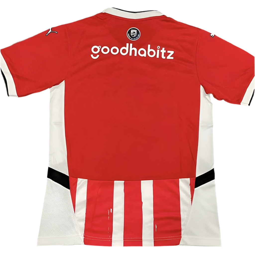 24/25 PSV Home kit