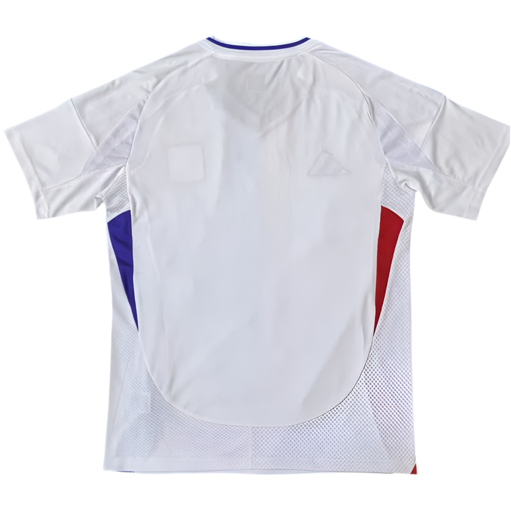24/25 Lyon Home kit