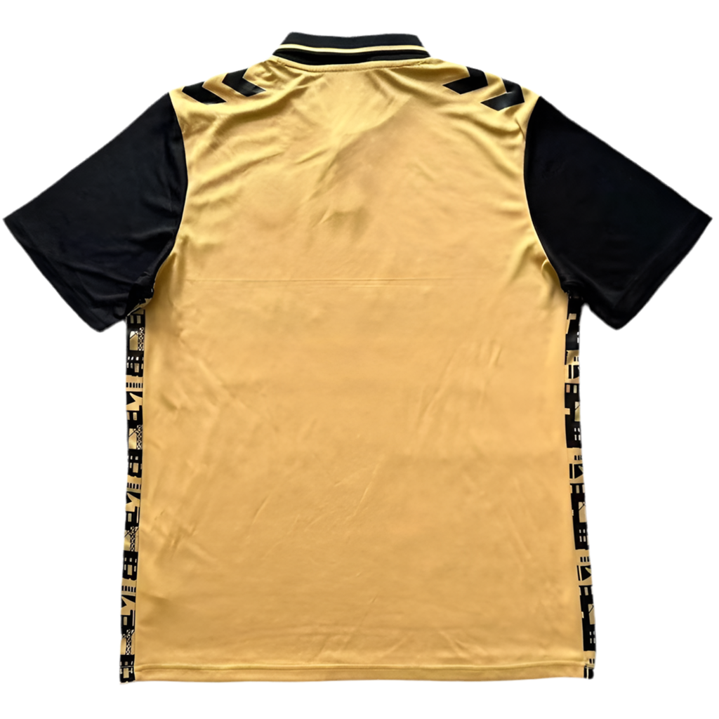 24/25 AS Saint-etienne Third kit