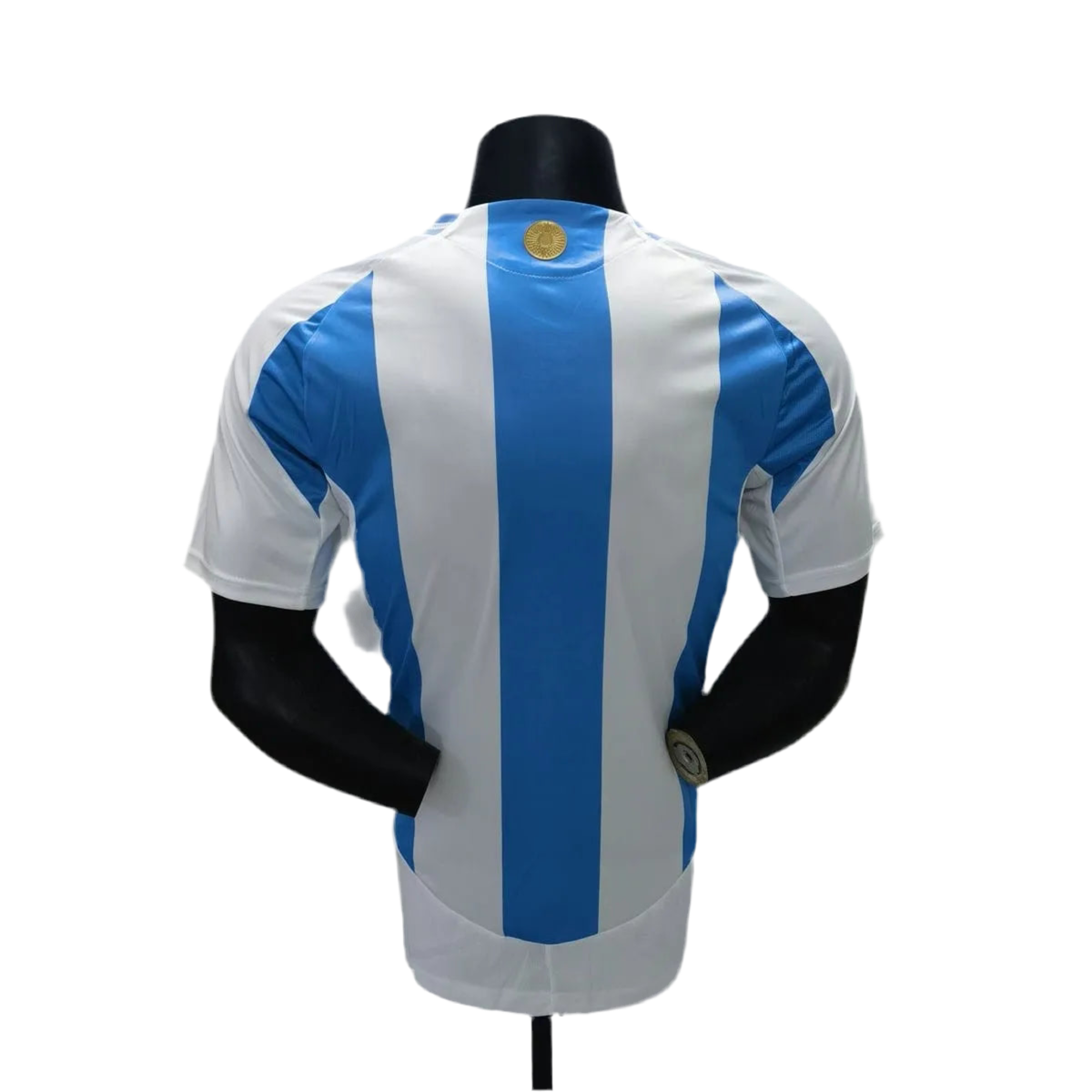 24/25 Argentina Home kit (player version)