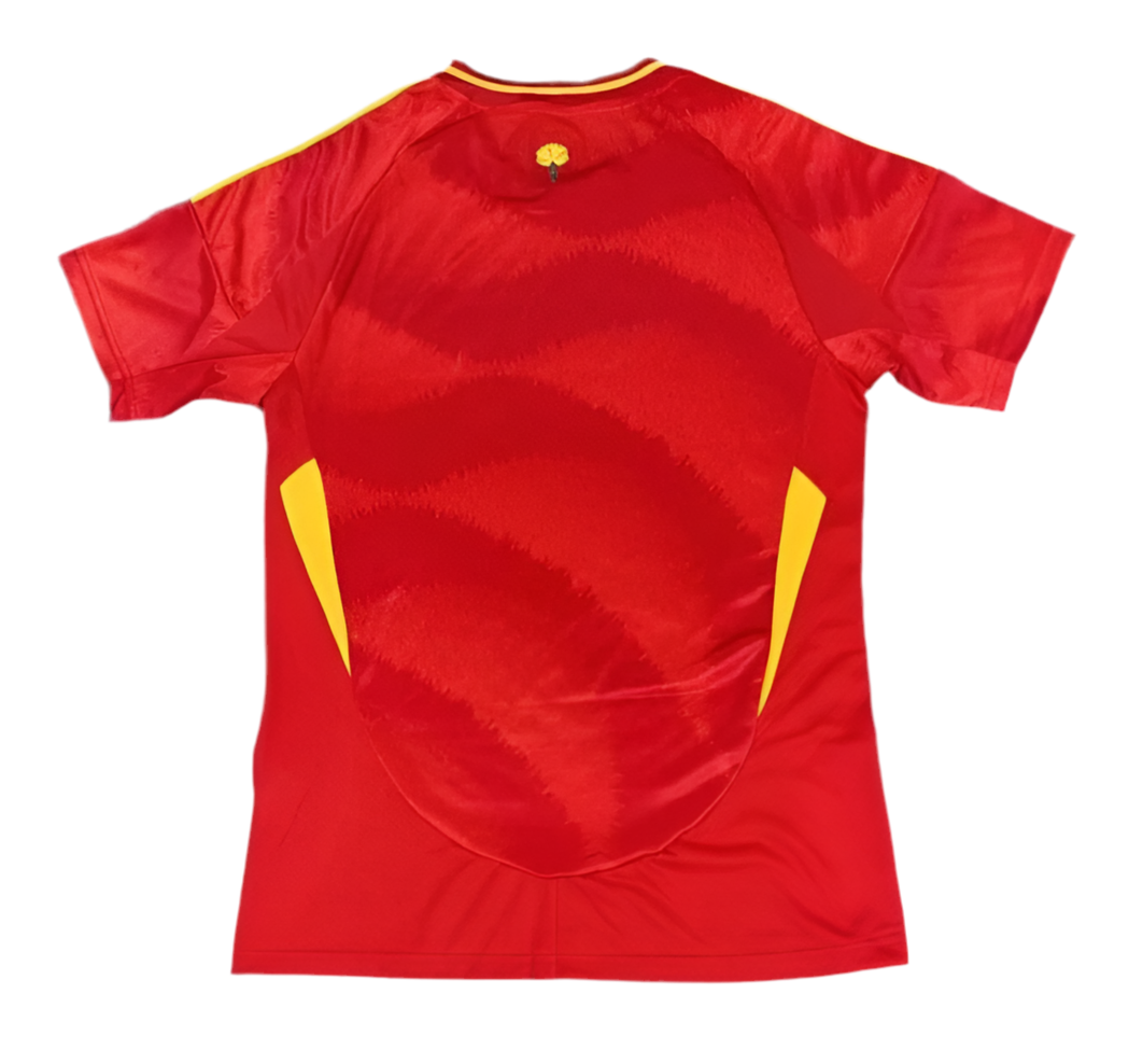 24/25 Spain Home kit
