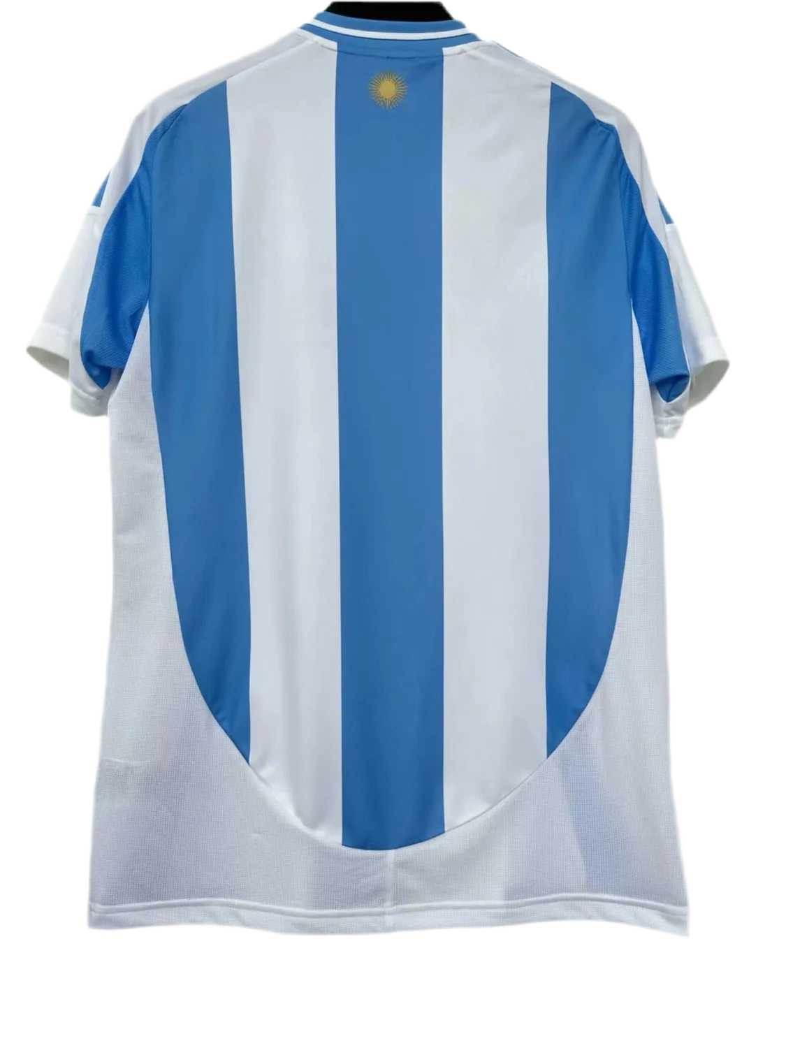 24/25 Argentina Home kit