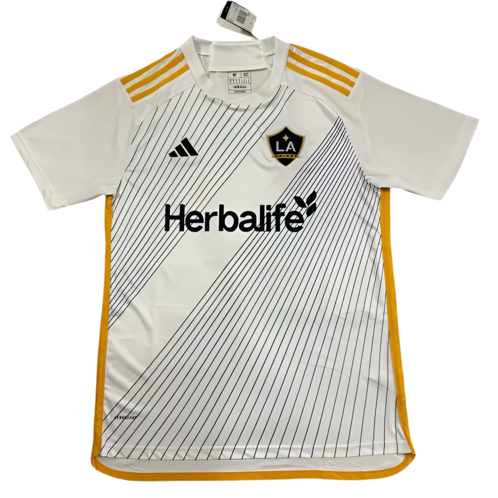 24/25 La Galaxy Home kit