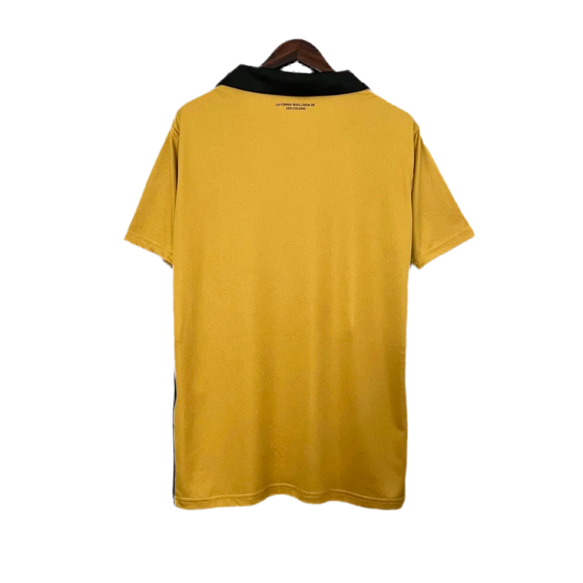24/25 Colo Colo Special kit