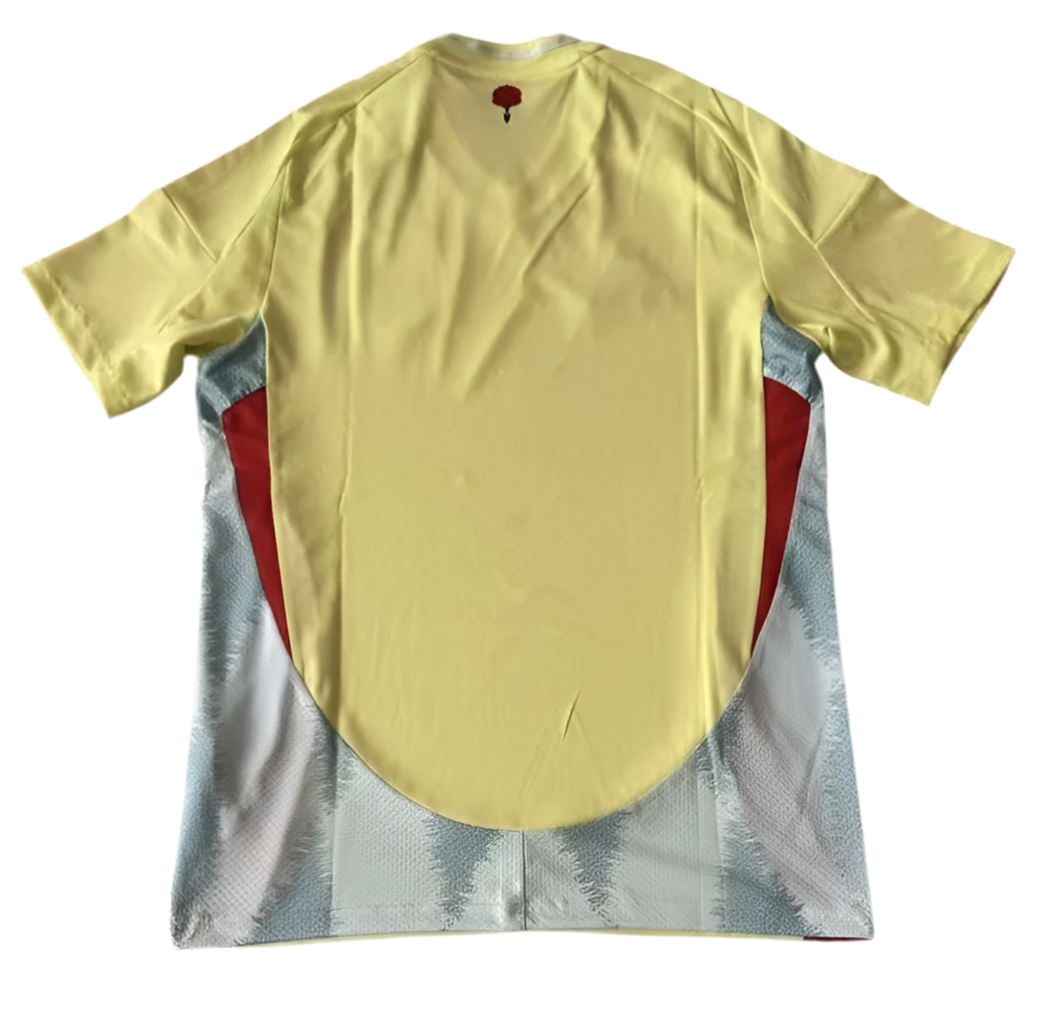 24/25 Spain Away kit