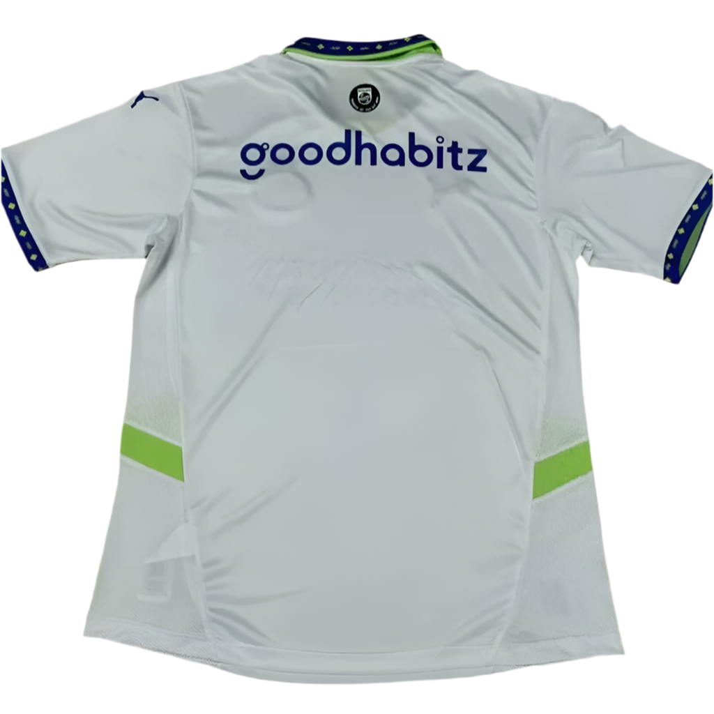 24/25 PSV Third kit