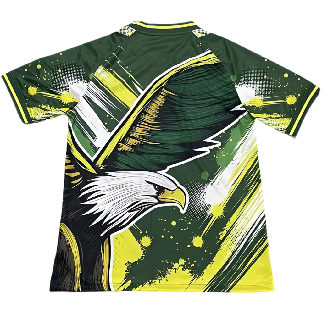 24/25 Brazil Special kit