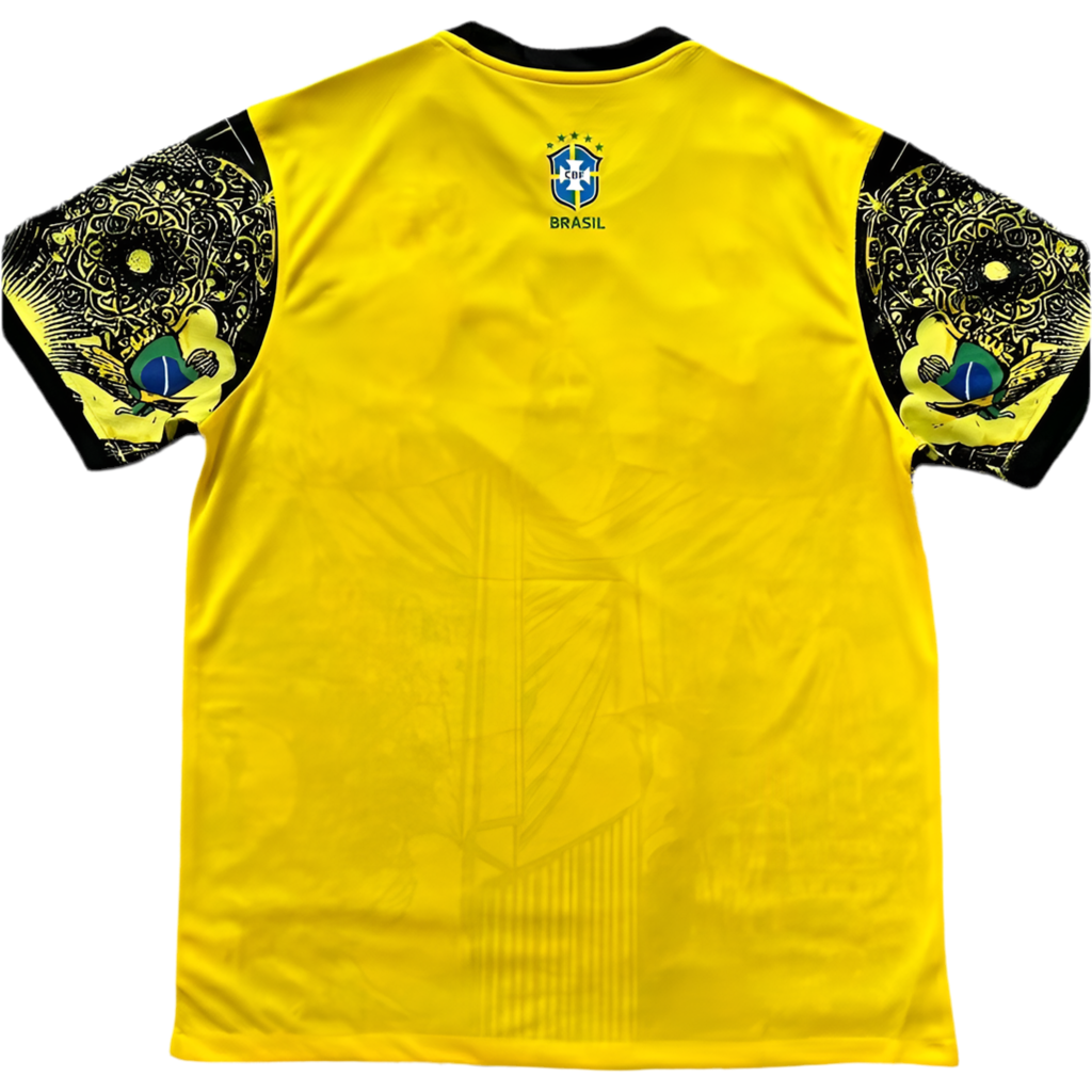 24/25 Brazil Special kit