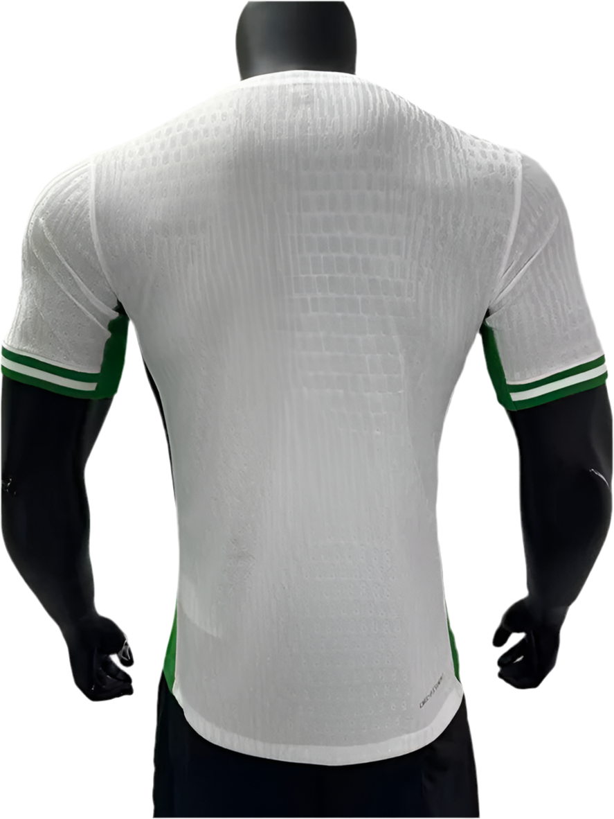 24/25 Nigeria Home kit (player version)