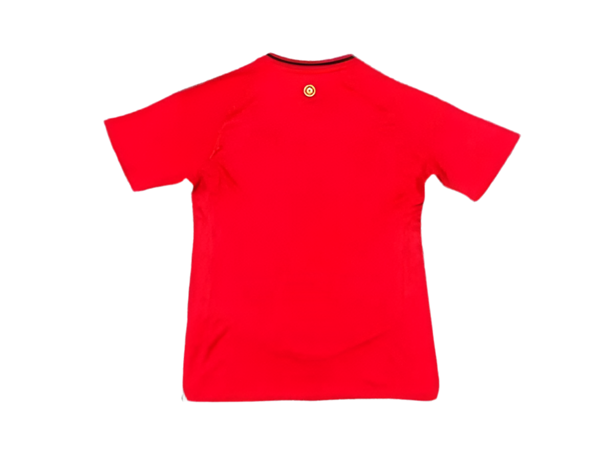 24/25 Wales Home kit