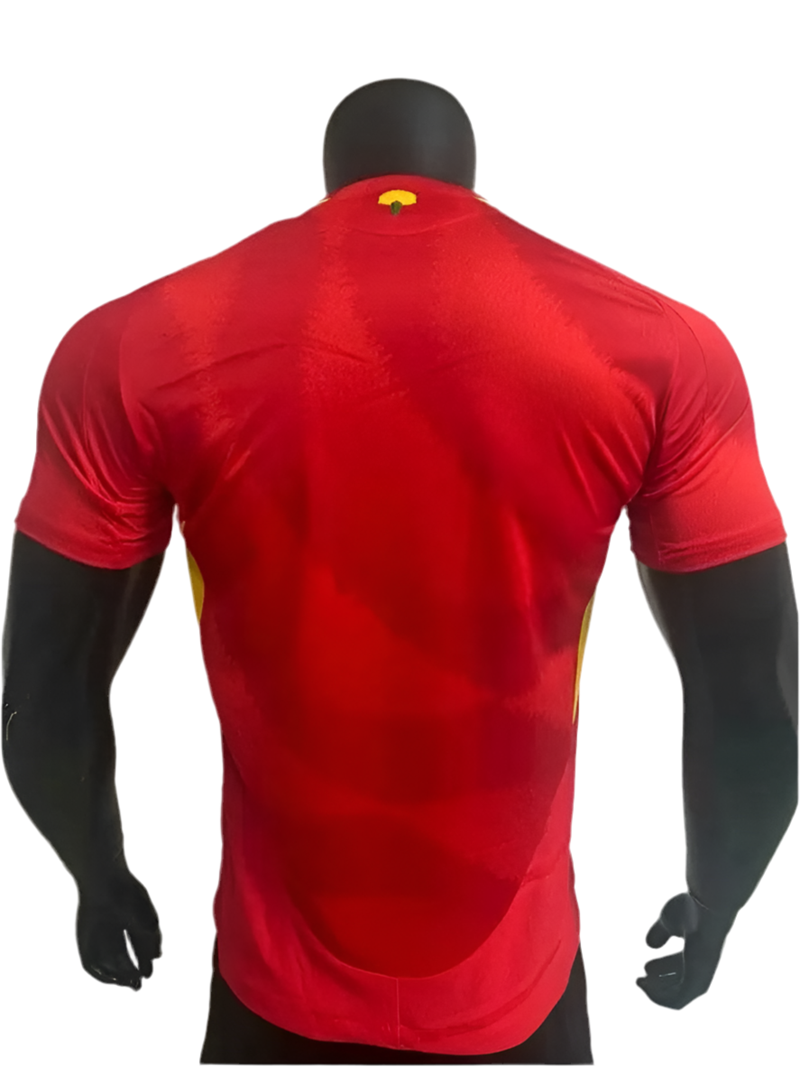 24/25 Spain Home kit (player version)