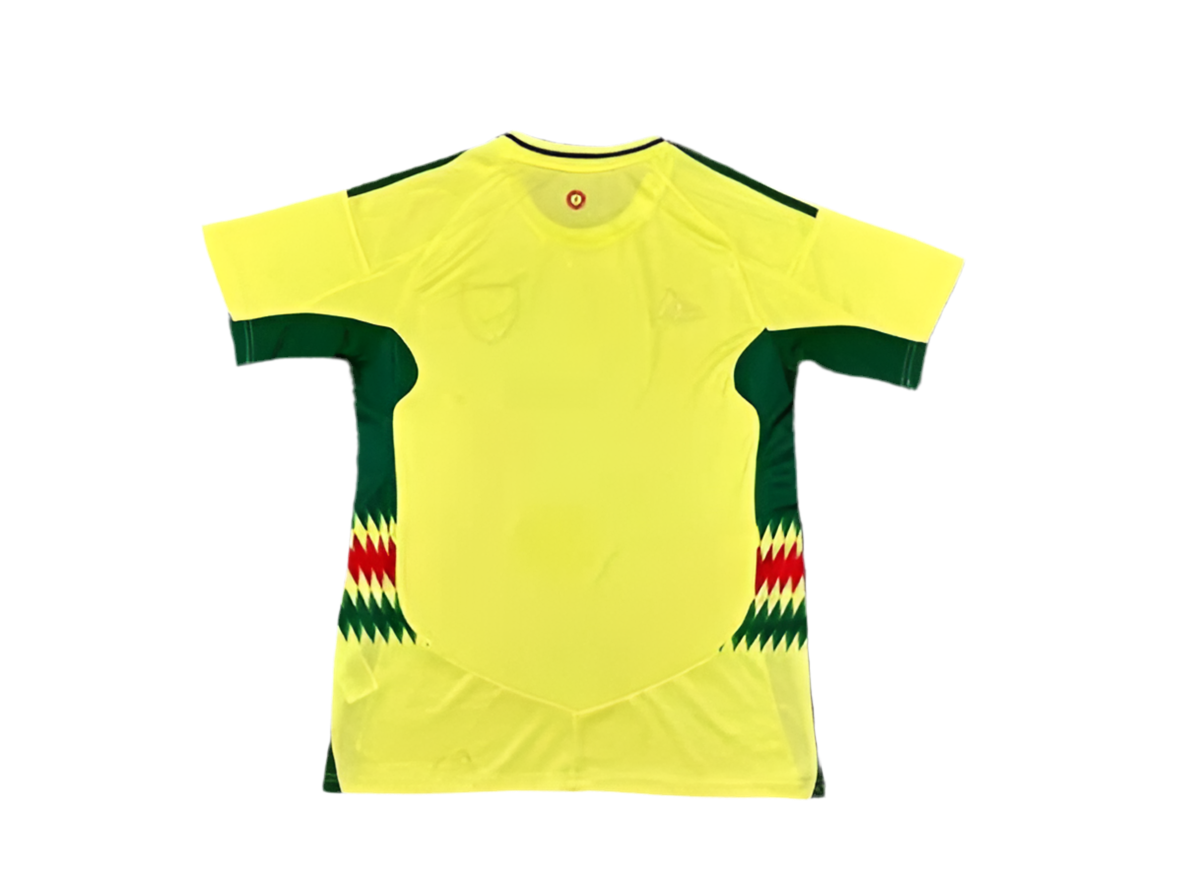 24/25 Wales Away kit