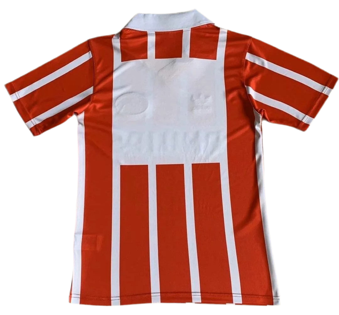 90/91 PSV Home kit