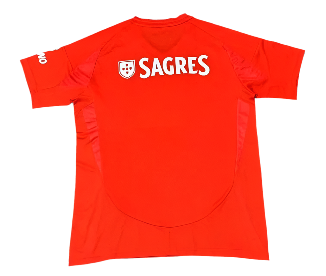 24/25 Benfica Home kit