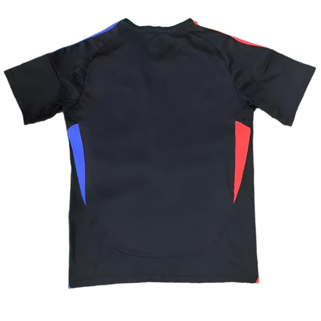 24/25 Lyon Away kit