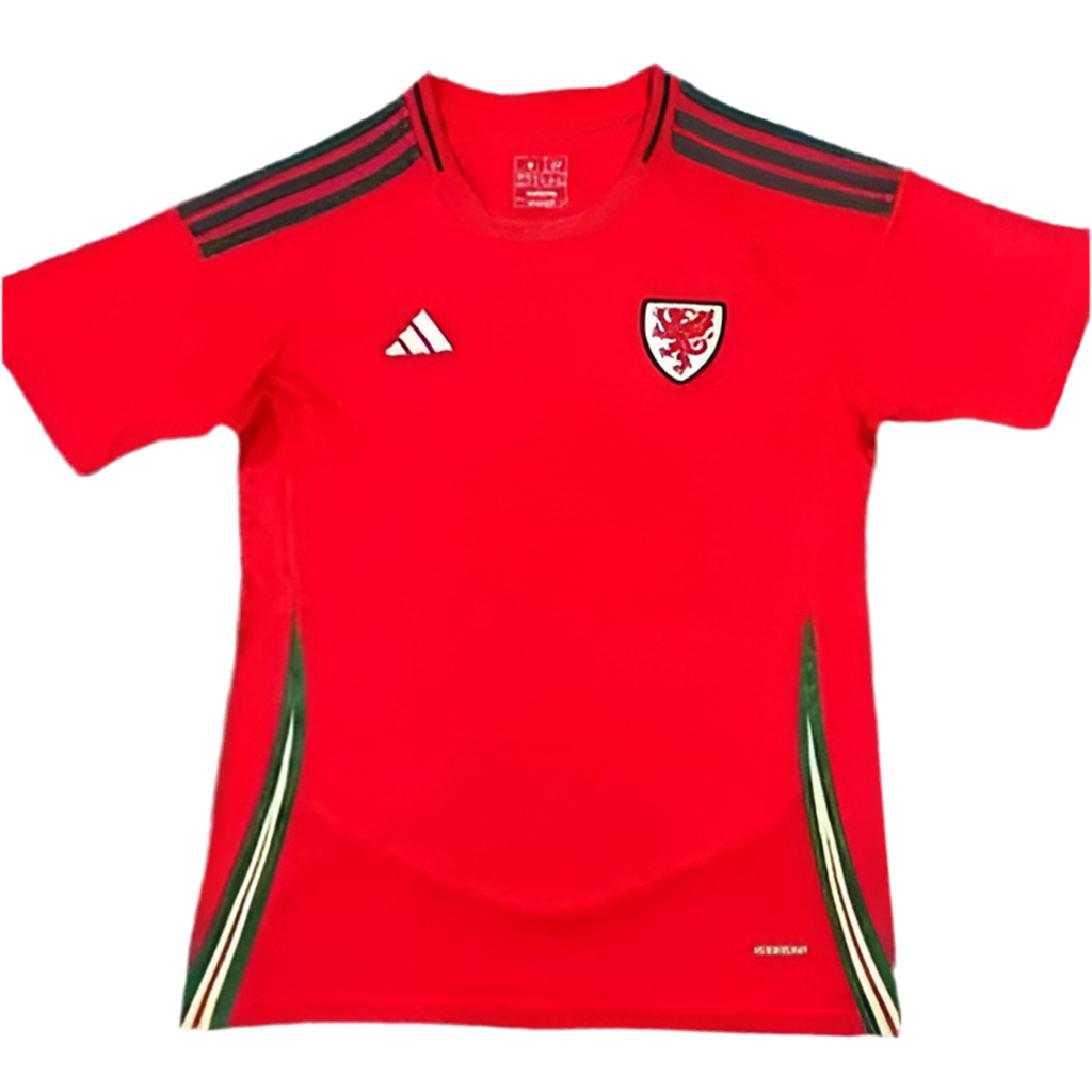 24/25 Wales Home kit
