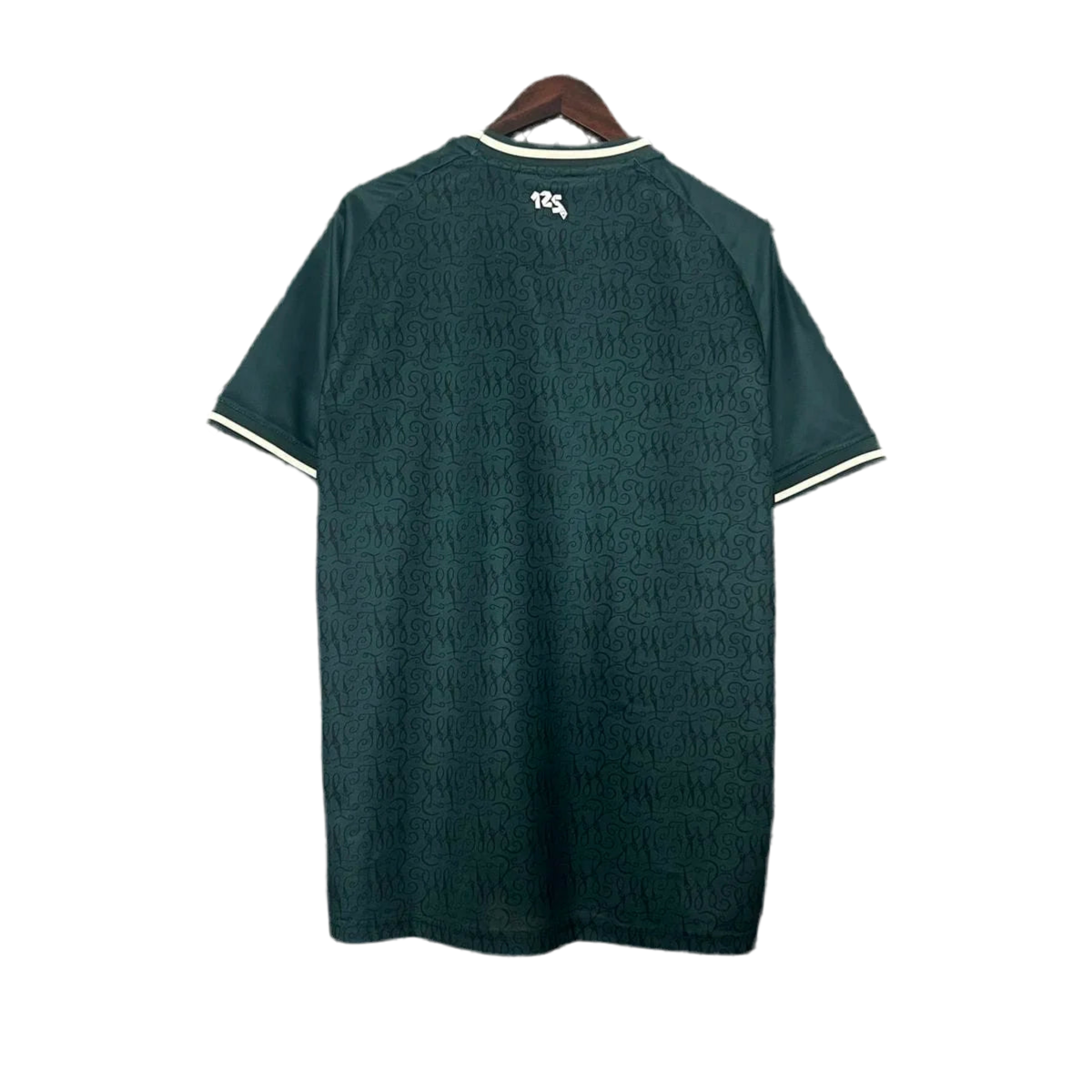 24/25 SV Werder Bremen Commemorative kit