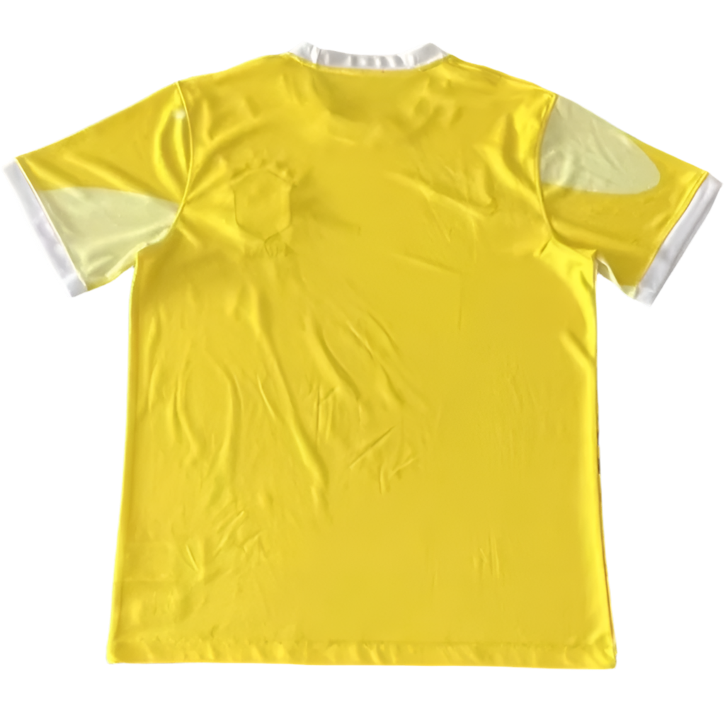 24/25 Brazil Special Yellow kit