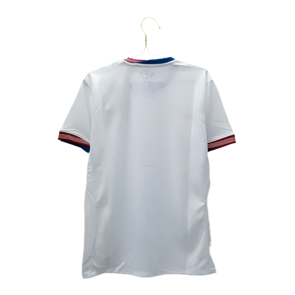 24/25 USA Home kit