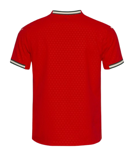 25/26 Portugal Home kit