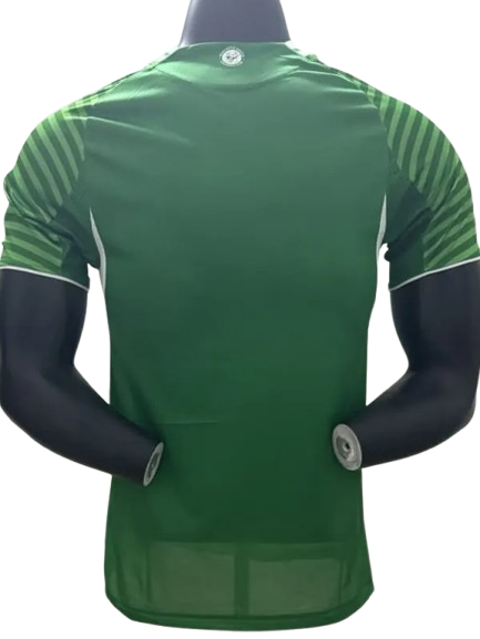 25/26 Newcastle Away kit (player version)