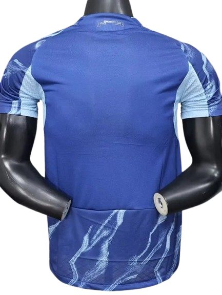 25/26 Ajax Away kit (player version)
