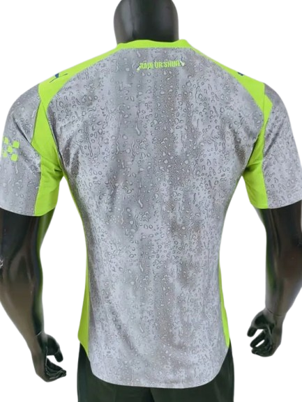 25/26 Manchester City Third kit (player version)