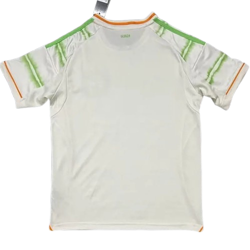 25/26 Celtic Third kit