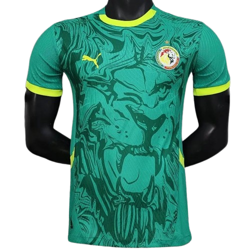 24/25 Senegal Away kit (player version)