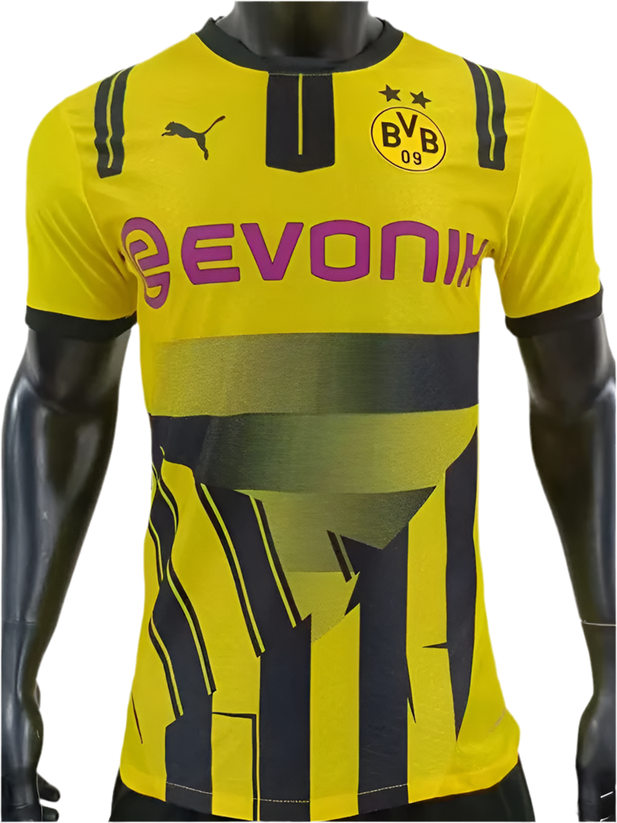 24/25 Borussia Dortmund Cup kit (player version)