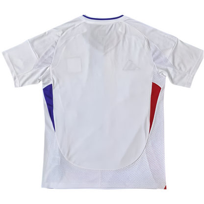 24/25 Lyon Home kit