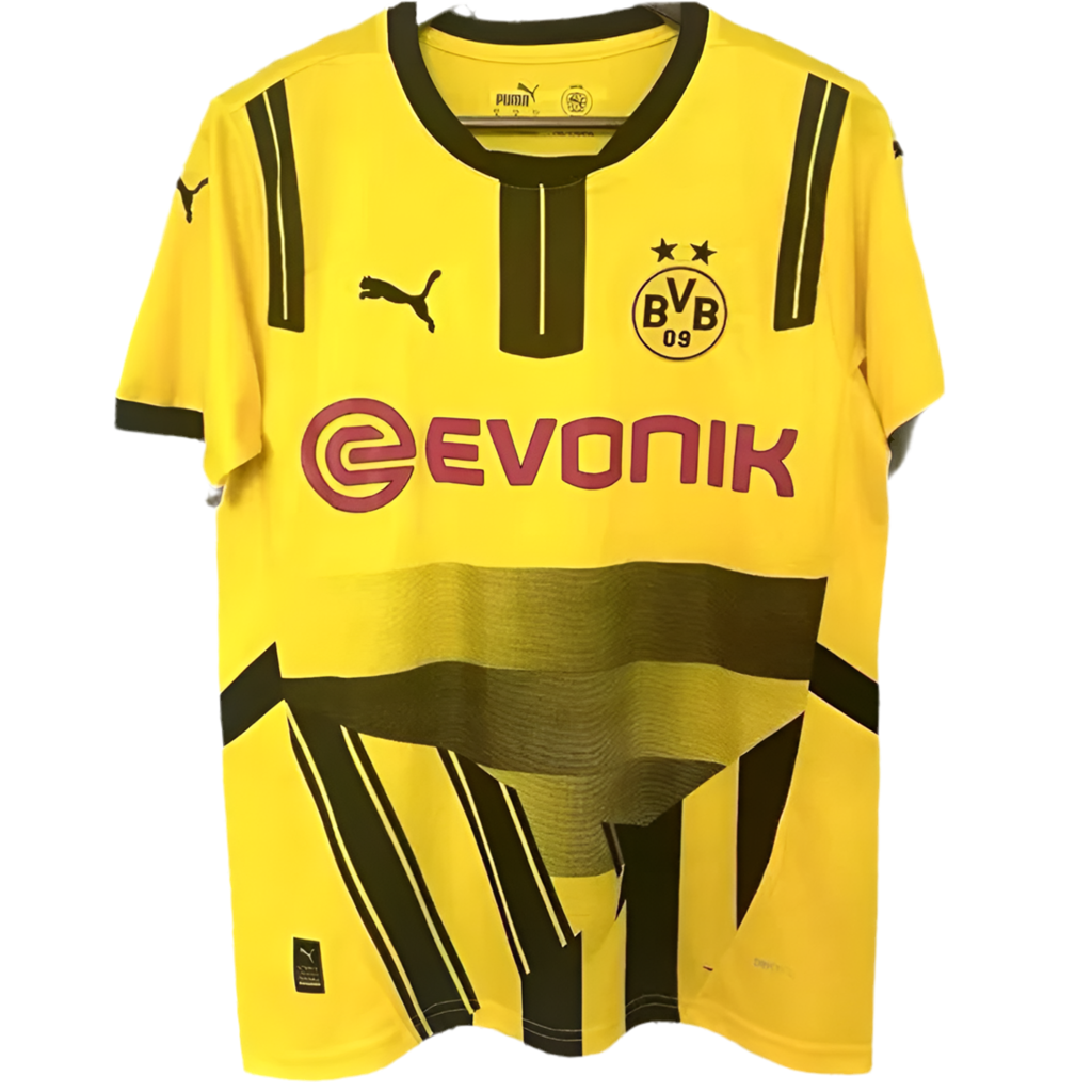 24/25 Borussia Dormund Cup kit