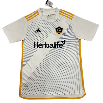 24/25 La Galaxy Home kit