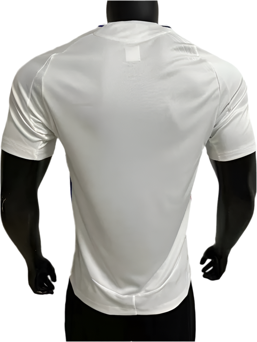 24/25 Lyon Home kit (player version)