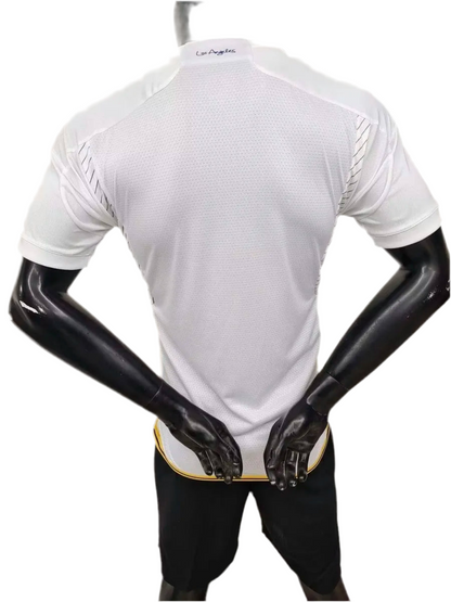 24/25 La Galaxy Home kit (player version)