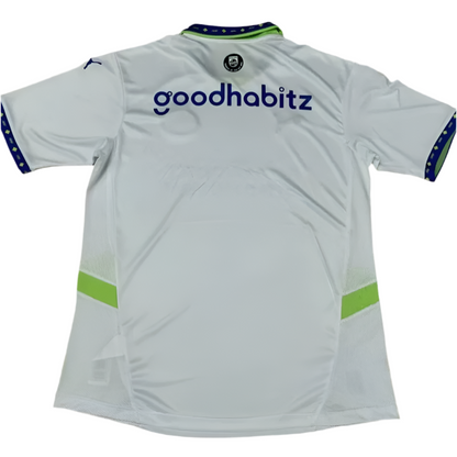 24/25 PSV Third kit