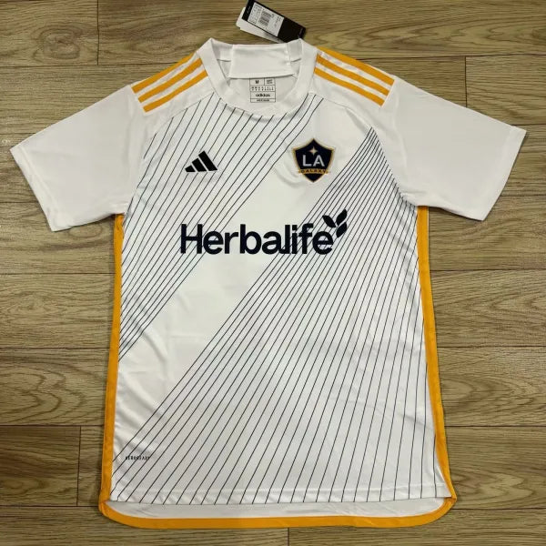 24/25 La Galaxy Home kit (fan version)