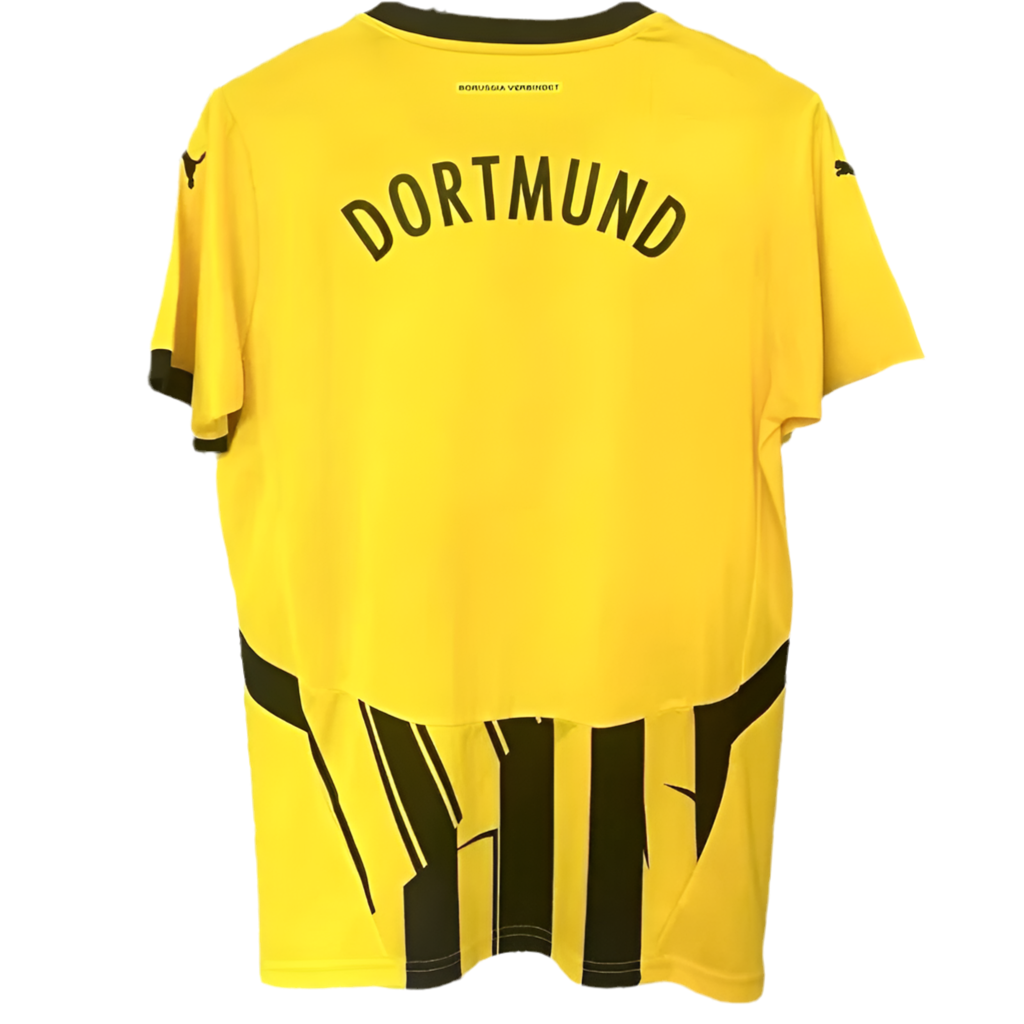 24/25 Borussia Dormund Cup kit
