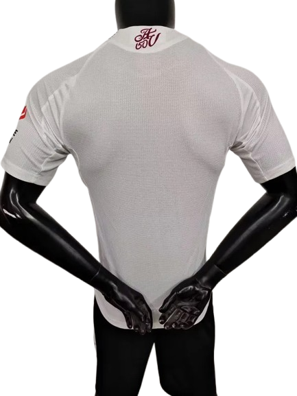 24/25 Aston Villa Away kit (player version)