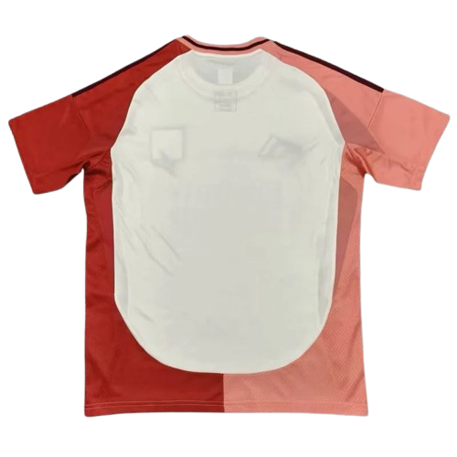 24/25 Lyon Third kit