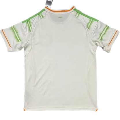 25/26 Celtic Third kit
