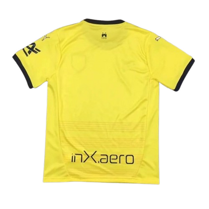 24/25 Parma Third kit