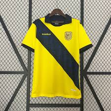 23/24 Ecuador Home kit